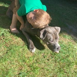 Meet your Posher, Mains